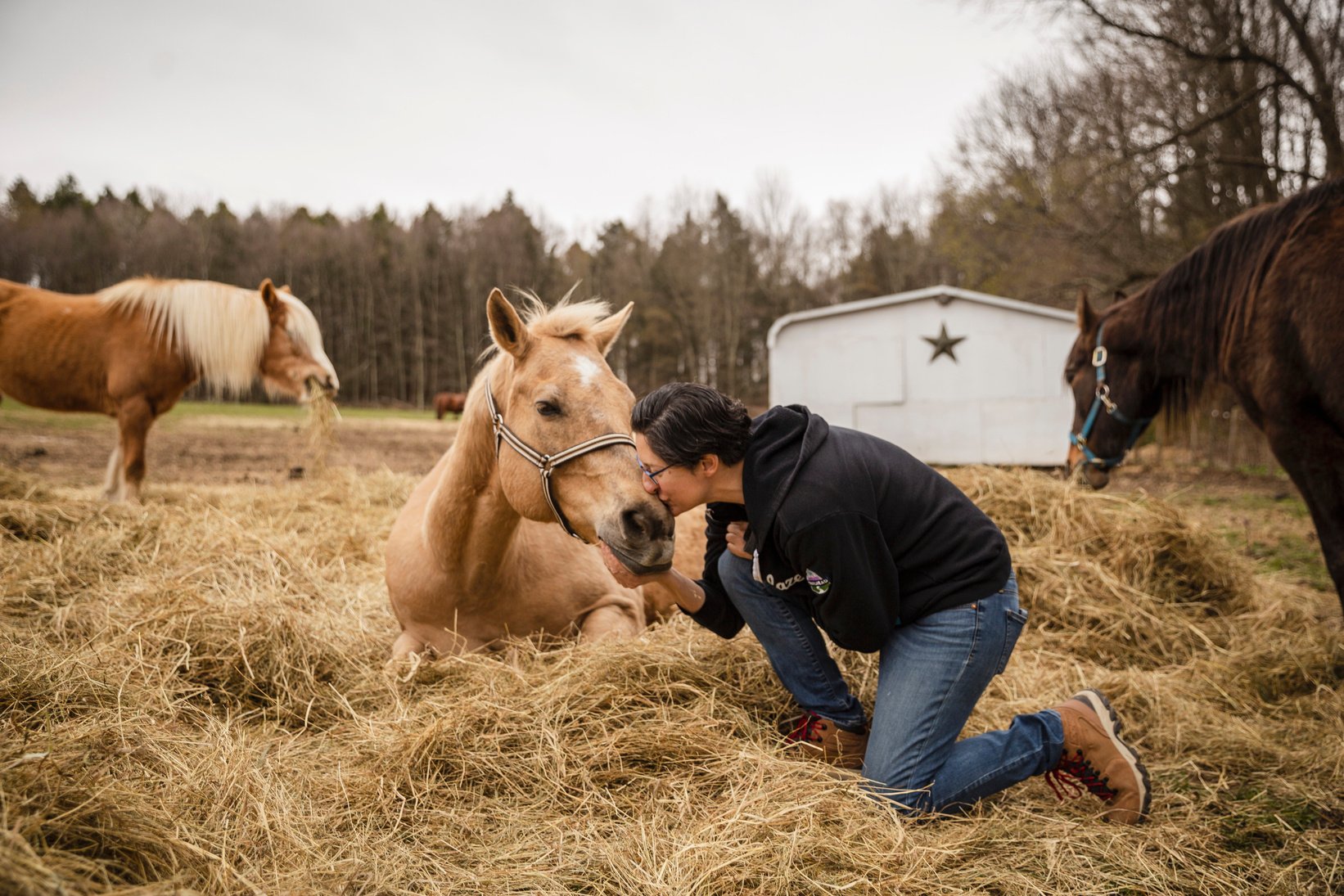 Animal Rescue Farm